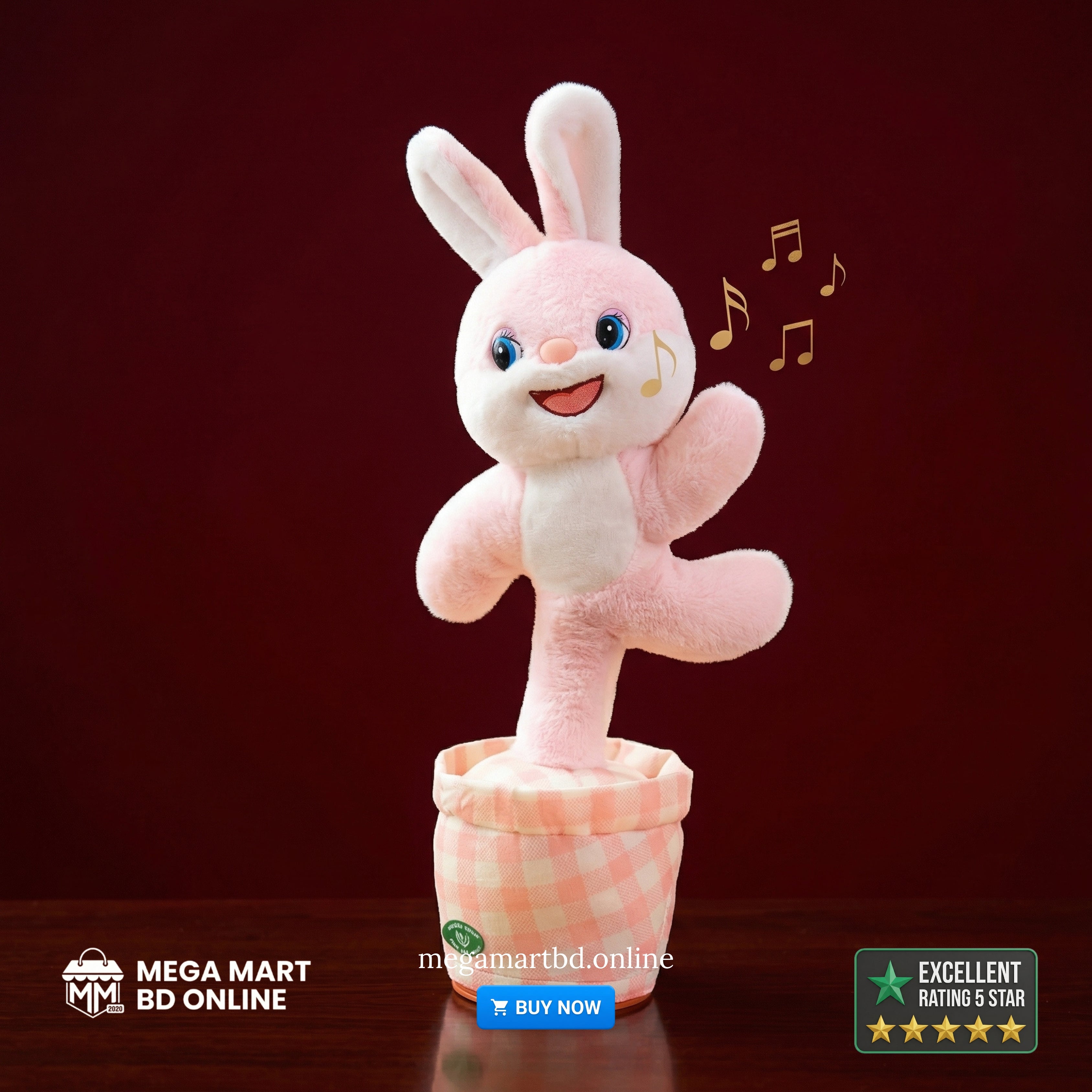 Kids Dancing Talking Cactus Toys